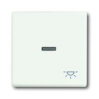 Busch-jaeger 1789 LI-884 Pic_1