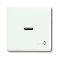 Busch-jaeger 1789 TR-884 Pic_1