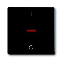 Busch-jaeger 1788-885 Pic_2