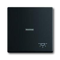 Busch-jaeger 1789 LI-885 Pic_1