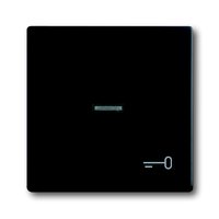 Busch-jaeger 1789 TR-885 Pic_1