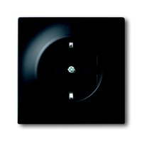 Busch-jaeger 20 EUCKS-775 Pic_1