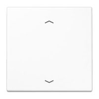 Jung ENO LS 990 P WW Pic_1