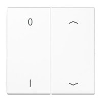 Jung ENO LS 995 P01 WW Pic_1