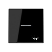 Jung A 590 KO5L SW Pic_1