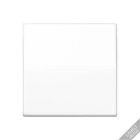 Jung AS 591 BF RT Pic_1