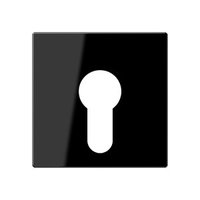 Jung A 525 PL SW Pic_1