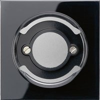 Jung LS 937 SW Pic_1