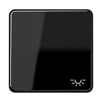 Jung CD 590 L SW Pic_1