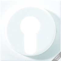 Jung A 528 PL MO Pic_1