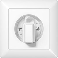 Jung AS 1541 WW Pic_1