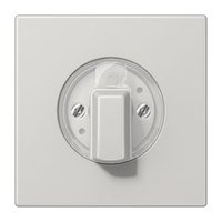 Jung LS 1941LG Pic_1