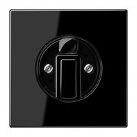 Jung LS 1941SW Pic_1