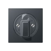 Jung A 1541 BF ANM Pic_1