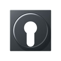 Jung A 528 PL ANM Pic_1