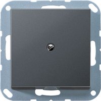 Jung A 590 BF A ANM Pic_1