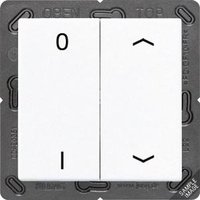 Jung ENO A 595 P01 ANM Pic_1