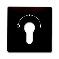 Busch-jaeger 2155 SLPZ-31 Pic_1