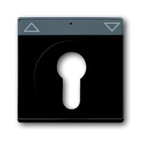 Busch-jaeger 1755 SL/PZ-885-101 Pic_2