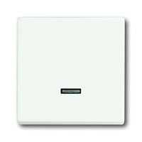 Busch-jaeger 6543-884-101 Pic_2