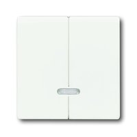 Busch-jaeger 6545-884 Pic_1