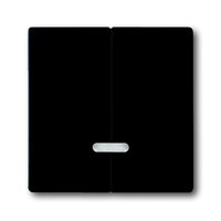 Busch-jaeger 6545-885 Pic_2