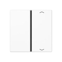 Jung A 401 TSAP WW Pic_1