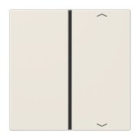 Jung LS 401 TSAP Pic_1