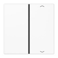 Jung LS 401 TSAP WW Pic_1