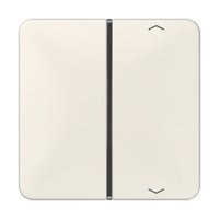 Jung CD 401 TSAP Pic_1