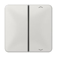 Jung CD 401 TSAP LG Pic_1