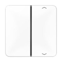 Jung CD 401 TSAP WW Pic_1