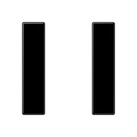 Jung A 501 TSA SW Pic_1