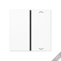 Jung A 401 TSAP ANM Pic_1