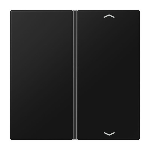 Jung LS 401 TSAP SWM Pic_1