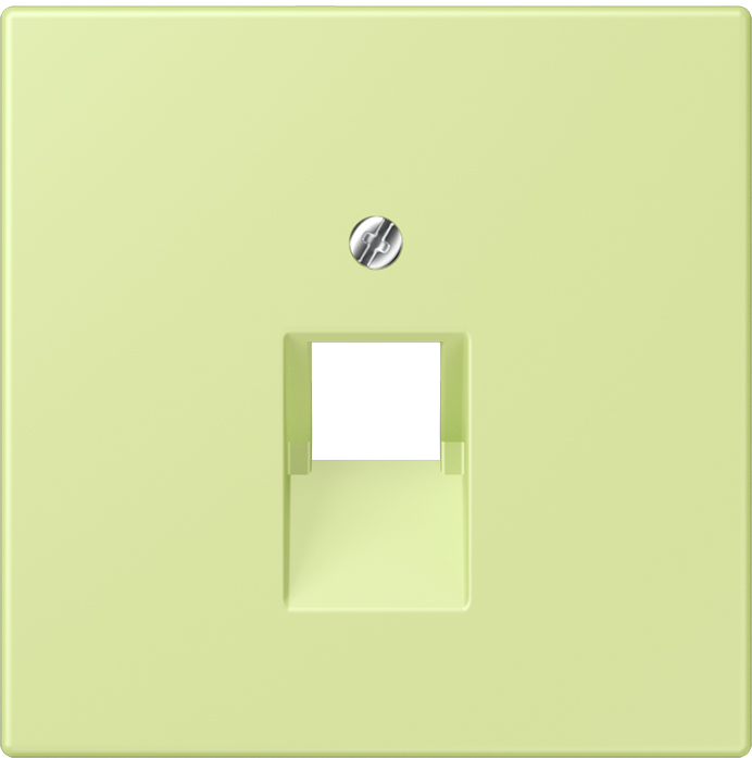 Jung LC 969-1 UA 222 Pic_1