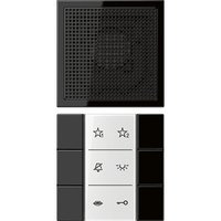 Jung SI AI LS 6 SW Pic_1