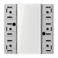 Jung SI TM LS 5073 Pic_1