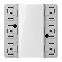 Jung SI TM LS 5093 Pic_1