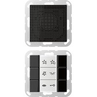 Jung SI AI A 6 SW Pic_1