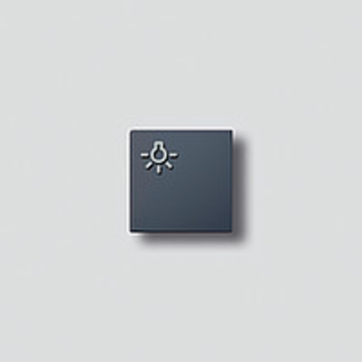 Siedle TLM 61x-01, BTLM 650-... AG Pic_1