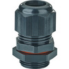 Hensel AXM 25 Pic_1