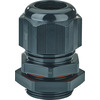 Hensel AXM 32 Pic_1