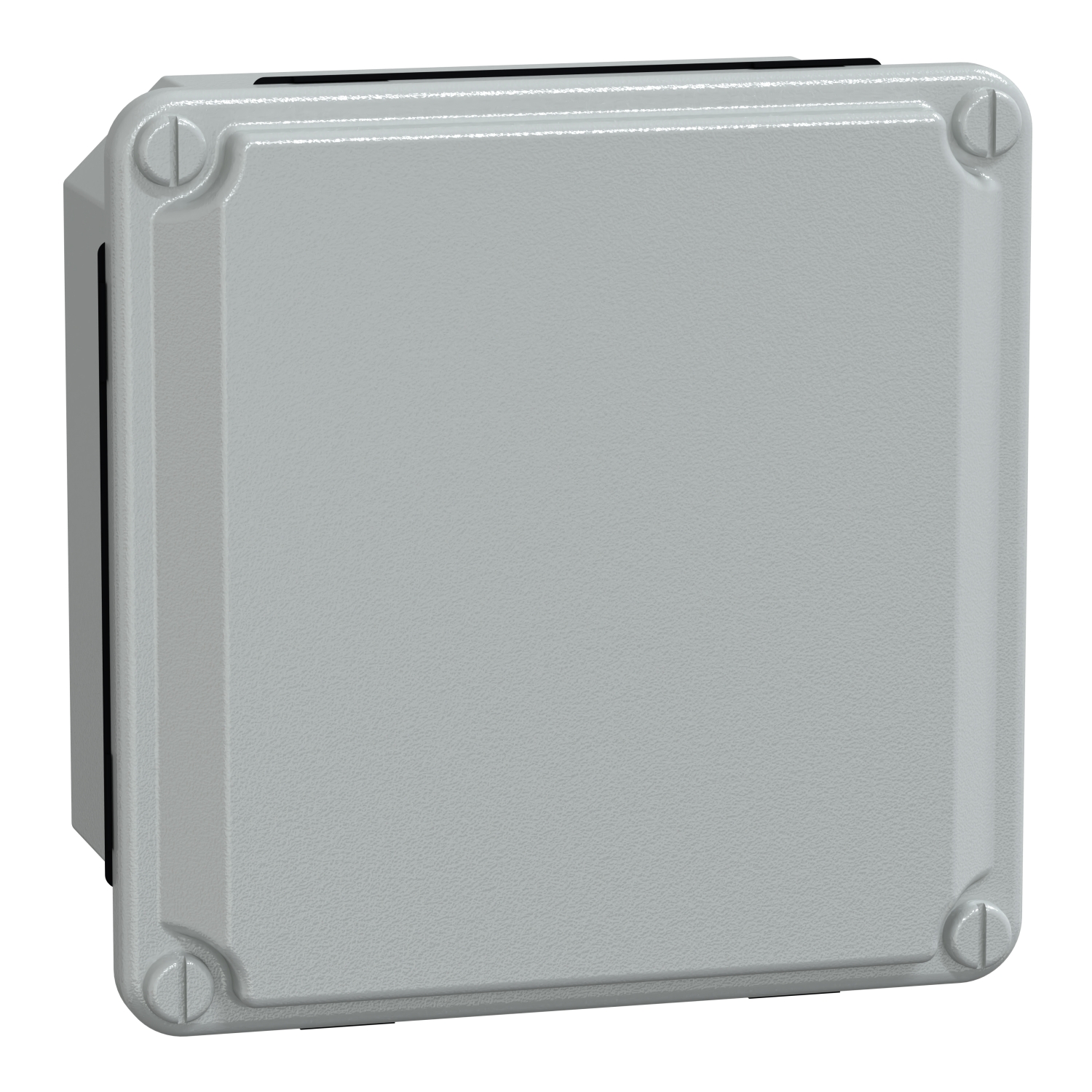 Schneider Electric NSYDBN1010 Pic_1