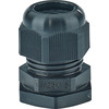 Hensel ASS 25 Pic_3