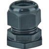 Hensel ASS 32 Pic_3
