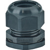 Hensel ASS 40 Pic_2