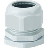 Hensel ADG 50 Pic_2
