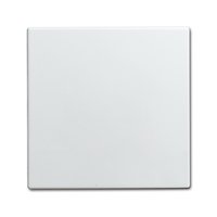 Busch-jaeger 1576 C-914 Pic_2