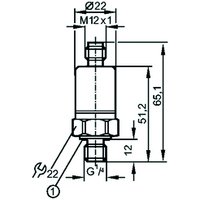 Ifm Electronic PG2797 Pic_1